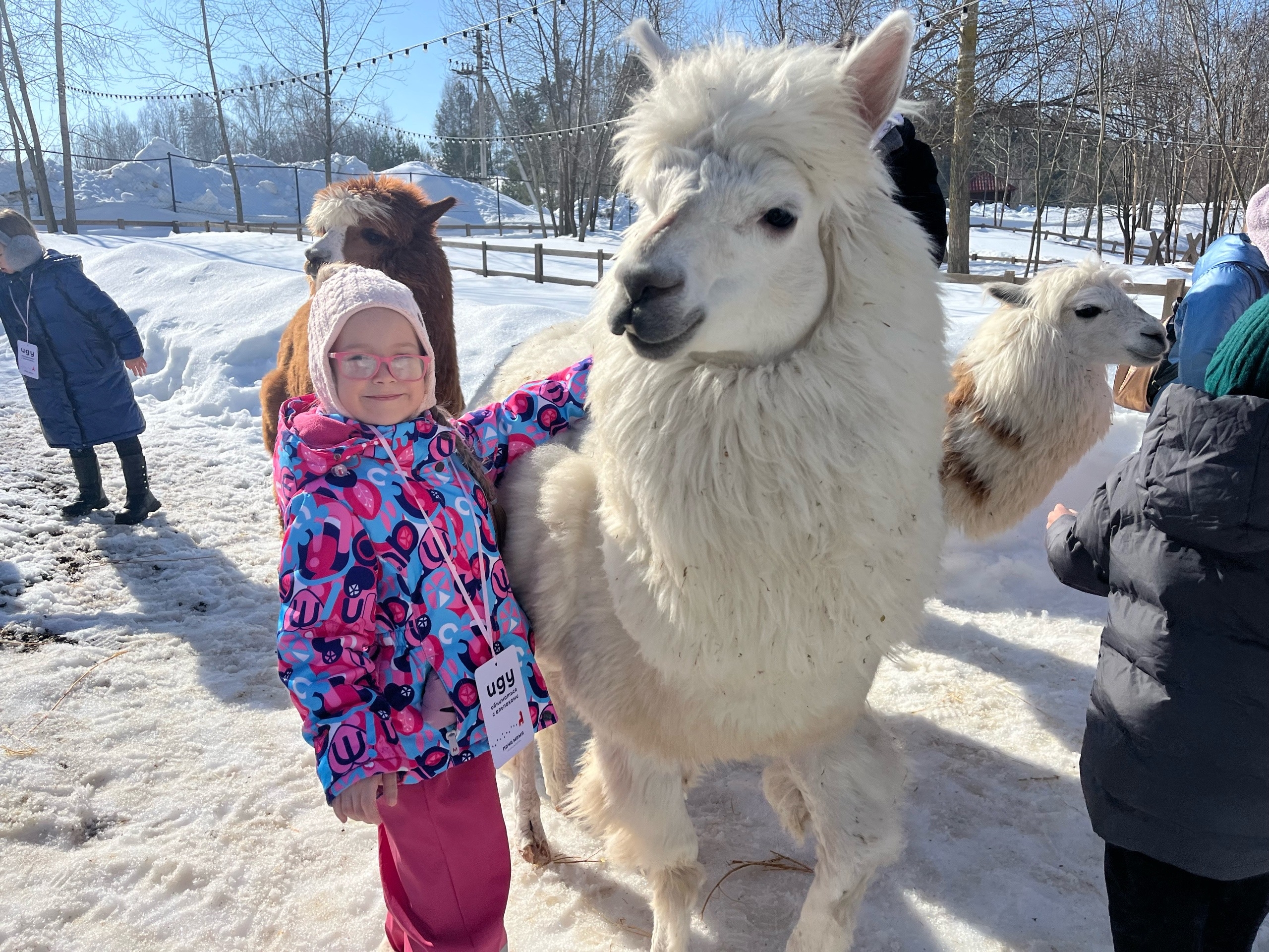 Семьи фонда посетили парк 